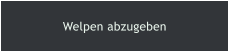 Welpen abzugeben