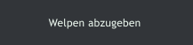 Welpen abzugeben