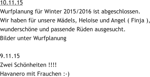 10.11.15 Wurfplanung fr Winter 2015/2016 ist abgeschlossen. Wir haben fr unsere Mdels, Heloise und Angel ( Finja ), wunderschne und passende Rden ausgesucht. Bilder unter Wurfplanung   9.11.15 Zwei Schnheiten !!!! Havanero mit Frauchen :-)