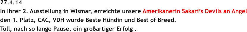 27.4.14 In Ihrer 2. Ausstellung in Wismar, erreichte unsere Amerikanerin Sakaris Devils an Angel den 1. Platz, CAC, VDH wurde Beste Hndin und Best of Breed. Toll, nach so lange Pause, ein groartiger Erfolg .