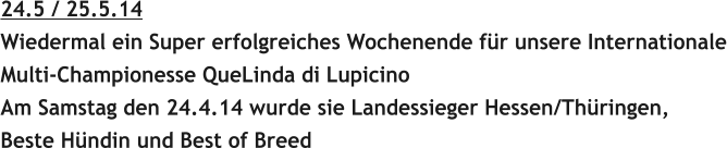 24.5 / 25.5.14 Wiedermal ein Super erfolgreiches Wochenende fr unsere Internationale Multi-Championesse QueLinda di Lupicino Am Samstag den 24.4.14 wurde sie Landessieger Hessen/Thringen, Beste Hndin und Best of Breed