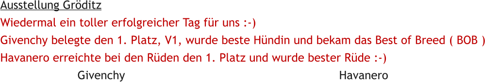 Ausstellung Grditz Wiedermal ein toller erfolgreicher Tag fr uns :-) Givenchy belegte den 1. Platz, V1, wurde beste Hndin und bekam das Best of Breed ( BOB ) Havanero erreichte bei den Rden den 1. Platz und wurde bester Rde :-)                       Givenchy                                                             Havanero