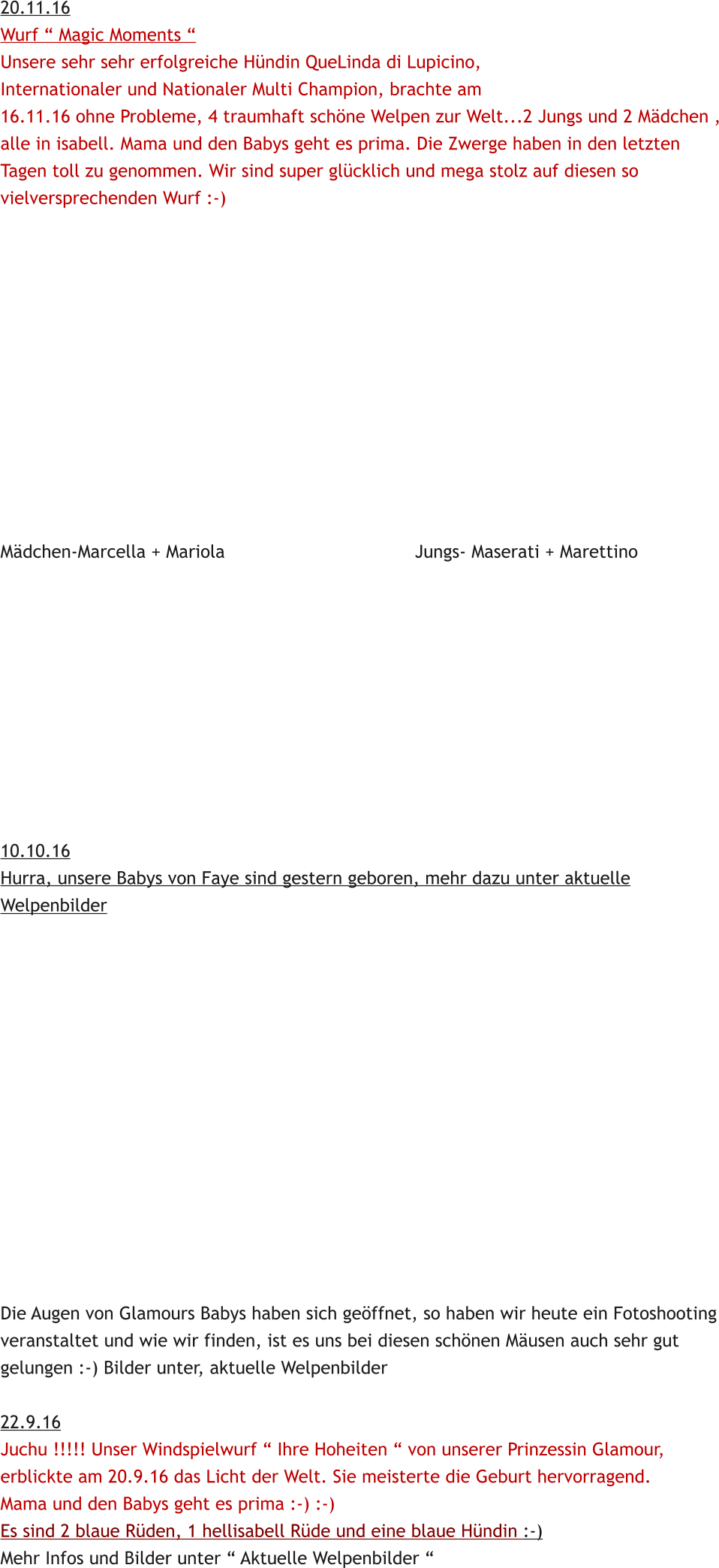 20.11.16 Wurf  Magic Moments  Unsere sehr sehr erfolgreiche Hndin QueLinda di Lupicino,  Internationaler und Nationaler Multi Champion, brachte am 16.11.16 ohne Probleme, 4 traumhaft schne Welpen zur Welt...2 Jungs und 2 Mdchen , alle in isabell. Mama und den Babys geht es prima. Die Zwerge haben in den letzten Tagen toll zu genommen. Wir sind super glcklich und mega stolz auf diesen so  vielversprechenden Wurf :-)              Mdchen-Marcella + Mariola                                   Jungs- Maserati + Marettino           10.10.16 Hurra, unsere Babys von Faye sind gestern geboren, mehr dazu unter aktuelle Welpenbilder               Die Augen von Glamours Babys haben sich geffnet, so haben wir heute ein Fotoshooting veranstaltet und wie wir finden, ist es uns bei diesen schnen Musen auch sehr gut gelungen :-) Bilder unter, aktuelle Welpenbilder  22.9.16 Juchu !!!!! Unser Windspielwurf  Ihre Hoheiten  von unserer Prinzessin Glamour,  erblickte am 20.9.16 das Licht der Welt. Sie meisterte die Geburt hervorragend. Mama und den Babys geht es prima :-) :-)  Es sind 2 blaue Rden, 1 hellisabell Rde und eine blaue Hndin :-) Mehr Infos und Bilder unter  Aktuelle Welpenbilder 